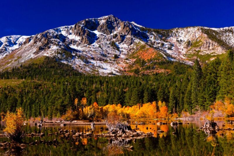 Lake Tahoe: Half-Day Photographic Scenic Tour - Exploring Lake Tahoe in Detail