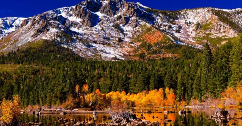 Lake Tahoe: Half-Day Photographic Scenic Tour - Final Thoughts: Why Choose This Tour?