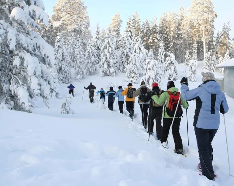 Lake Tahoe: Scenic Snowshoe Tour in a Winter Wonderland - What You Can Expect From Your Snowshoe Adventure
