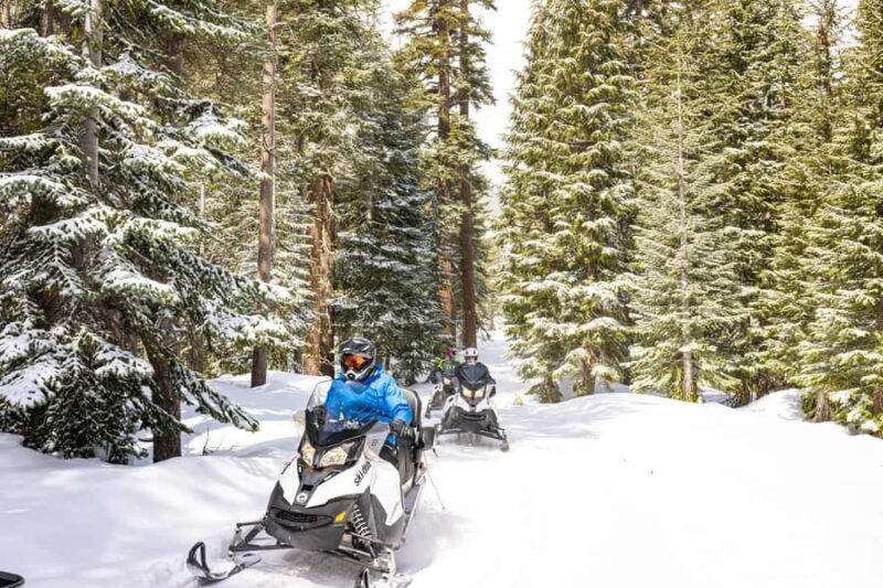 Lake Tahoe: Summit Snowmobile Tour with Scenic Views - What Makes This Snowmobile Tour Special?