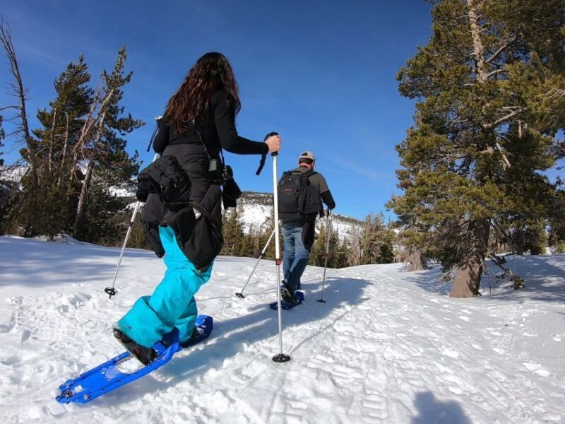Lake Tahoe: Sunset Snowshoe Trek with Hot Drinks and Snacks - The Itinerary in Detail