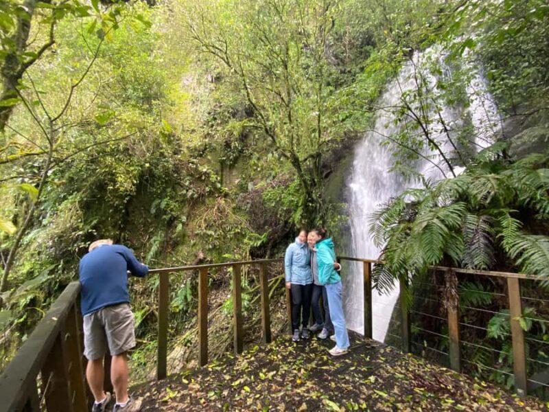 Lake Taupo Explorer Sightseeing Cruise with seasonal swim - Who Will Love This Tour?