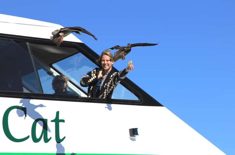 Lake Taupo: Maori Rock Carvings 8.30 AM 1.5-Hour Cruise - Scenic Highlights of Lake Taupo