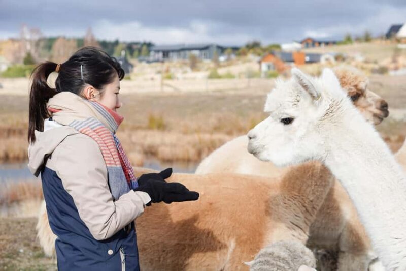 Lake Tekapo: Guided Petting Zoo Visit - Who Will Love This Experience?
