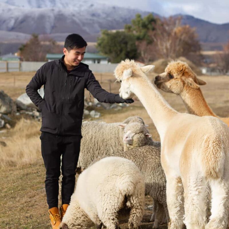 Lake Tekapo: Guided Petting Zoo Visit - FAQ