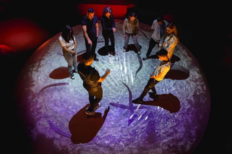 Lake Tekapo: Indoor Mori Cultural Astronomy Experience - Key Points