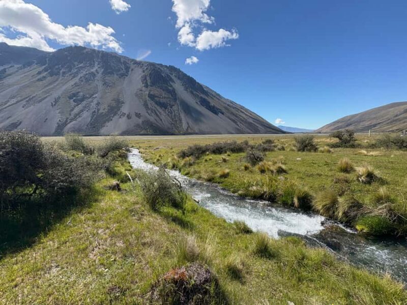 Lake Tekapo Scenic 4WD Cass Valley Wilderness Tour - Key Points