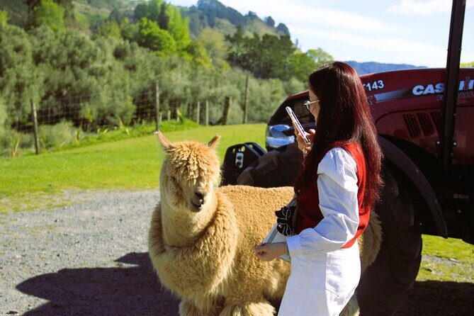 Lake Tekapo Stargazing & Mount Cook 2-Day Tour from Christchurch - Potential Drawbacks and Considerations