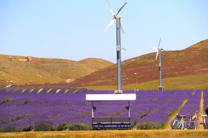 Lake Tekapo Stargazing & Mount Cook 2-Day Tour from Christchurch - Who Will Love This Tour?