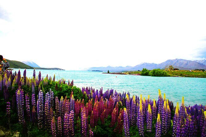 Lake Tekapo Stargazing & Mount Cook 2-Day Tour from Christchurch - Final Thoughts