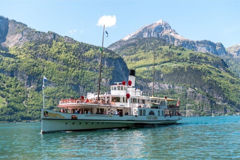 Lake Uri Cruise - Roundtrip from Brunnen to Flüelen - Who Should Consider This Cruise?