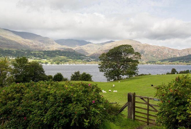 Lakes & mountains, spectacular scenery with an easy short walk - Why This Tour Offers Great Value