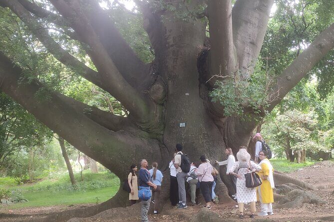 Lalbagh Botanical Garden Early Morning Walk + Breakfast at MTR - Final Thoughts