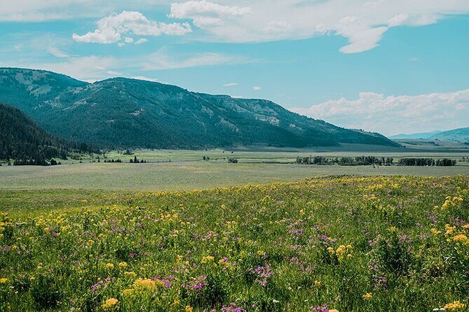 Lamar River Valley Day Hike Tour - Exploring the Lamar River Valley Day Hike: A Nature Lover’s Dream