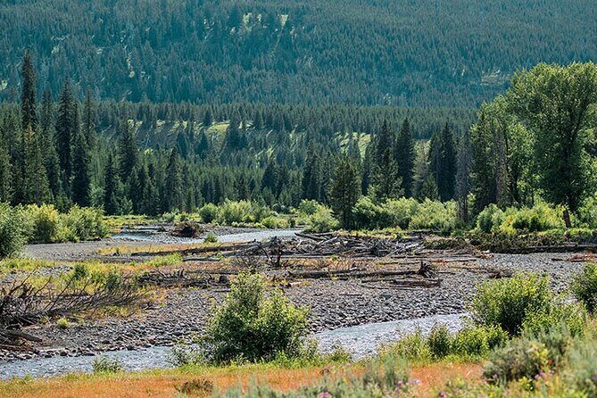 Lamar River Valley Day Hike Tour - Final Thoughts