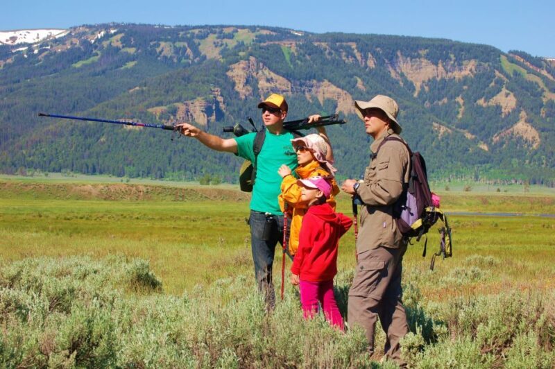 Lamar Valley: Safari Hiking Tour with Lunch - An In-Depth Look at the Lamar Valley Safari Hike