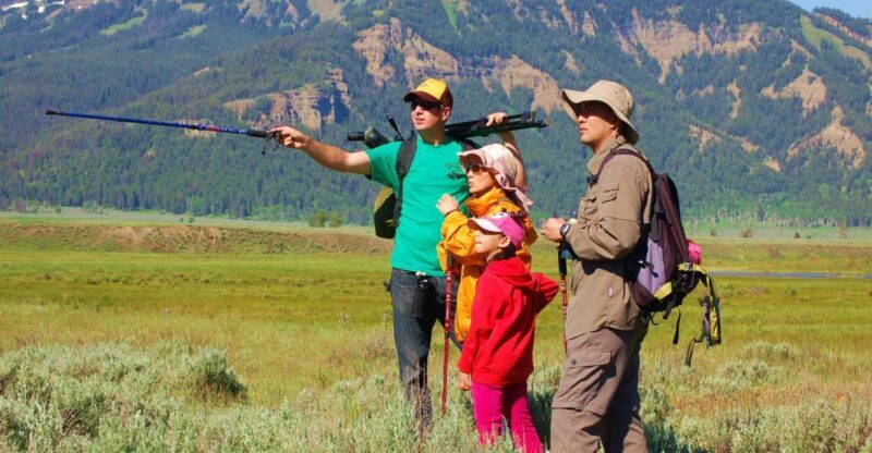 Lamar Valley: Safari Hiking Tour with Lunch - Why This Tour Is Worth It