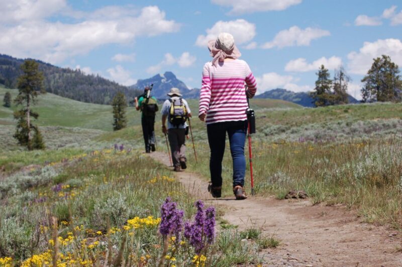 Lamar Valley: Safari Hiking Tour with Lunch - Final Thoughts