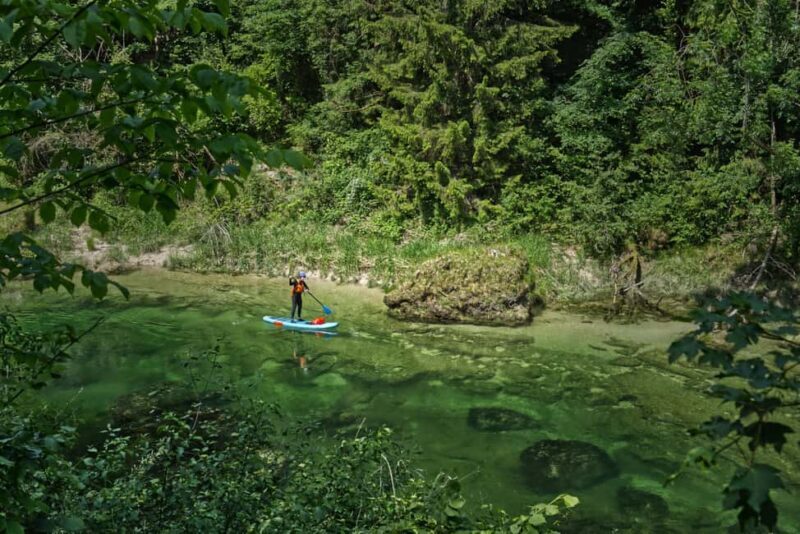 Lambach: Guided SUP & kayak tour through the Natura 2000 area Traun - Key Points