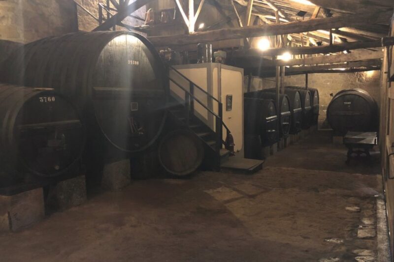 Lamego: Quinta da Portela de Baixo Winery Tour and Tasting - The Experience in Context: What Makes It Stand Out?