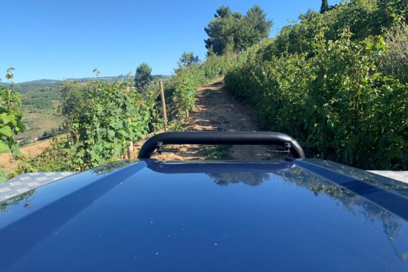 Lamego: Quinta da Portela de Baixo Winery Tour and Tasting - FAQ