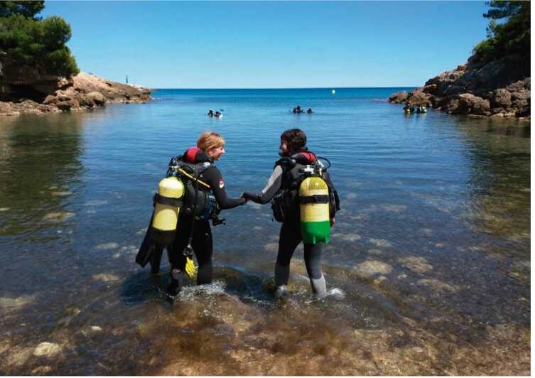 L'Ametlla de Mar: Sea diving with instructor - Exploring the Sea Diving Experience in LAmetlla de Mar