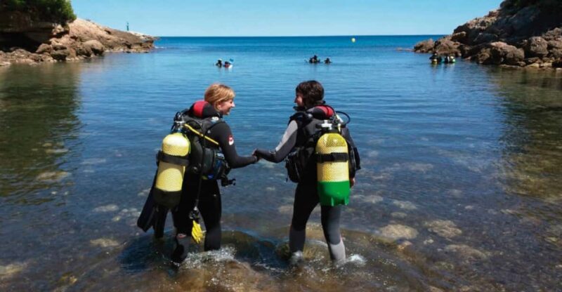 L'Ametlla de Mar: Sea diving with instructor - The Value and Who It’s Best For