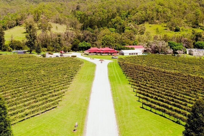 Lamington National Park, O'Reilly's & Vineyard Tour - Analyzing the Value: Is It Worth It?