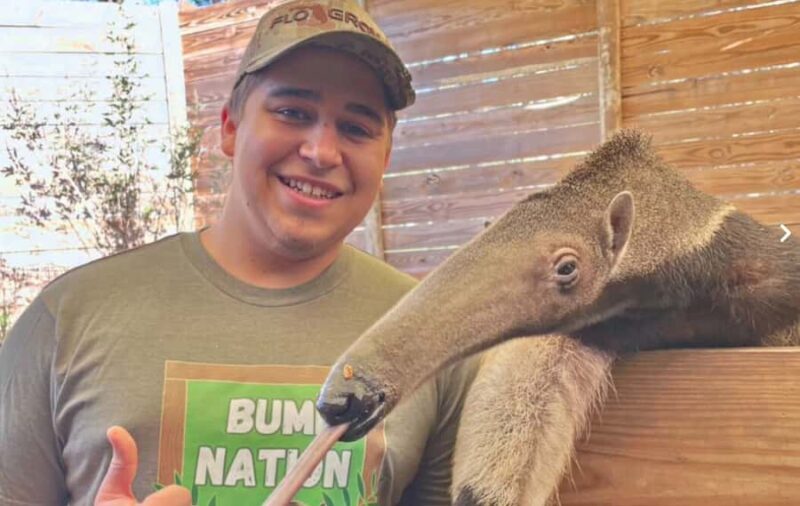 Lamont: Anteater Encounter at North Florida Wildlife Center - An Honest Look at the Experience