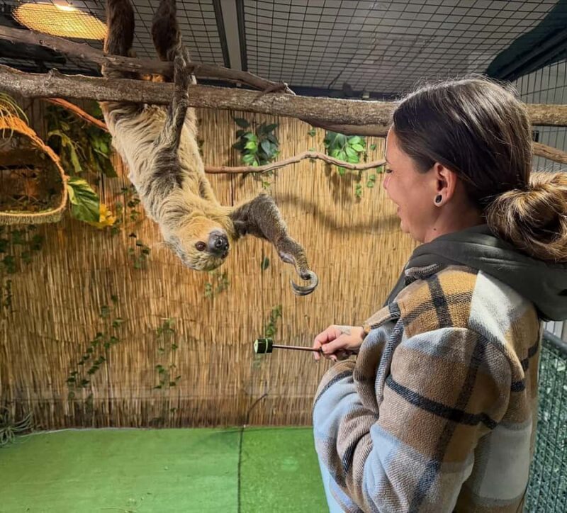 Lamont: Sloth Encounter at North Florida Wildlife Center - What the Experience Offers