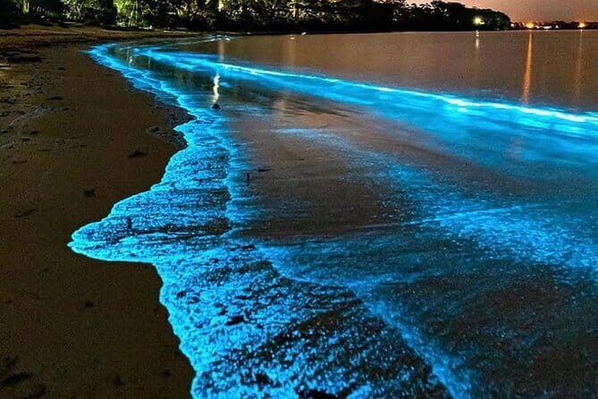 Lan Ha Bay Sunset and Plankton Bioluminescence Night Kayaking - Starting the Day: Convenient Pickup and Introduction