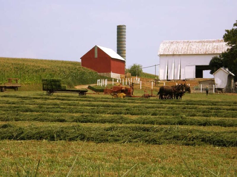 Lancaster: Amish Farmlands Guided Tour - The Experience in Detail