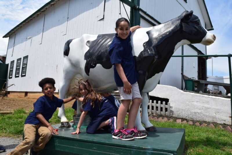 Lancaster County: Amish Farmlands, Museum Tour, Farm Visit - The Journey Through Amish Country