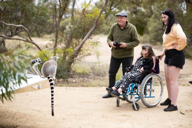 Land of the Lemurs Experience & a Day at Monarto Safari Park - An In-Depth Look at the Experience