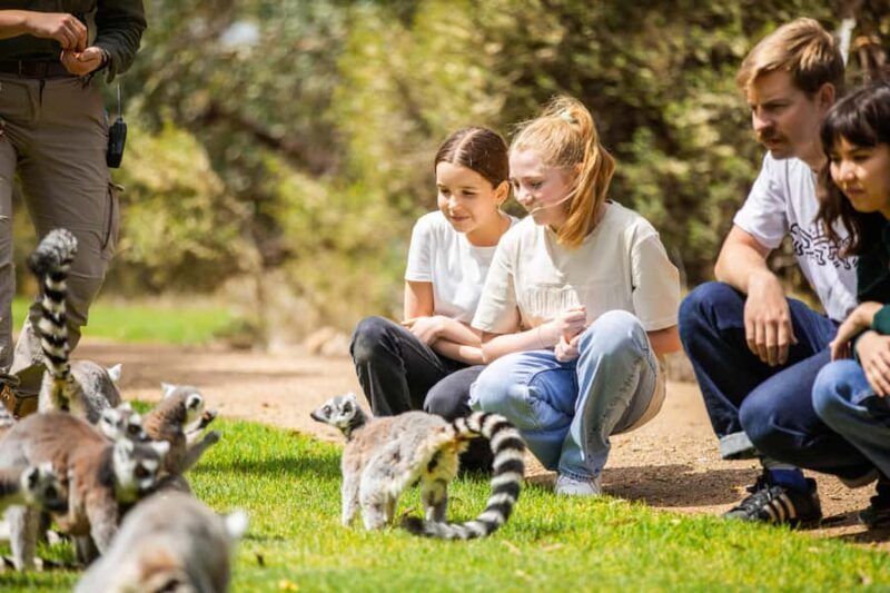 Land of the Lemurs Experience & a Day at Monarto Safari Park - Frequently Asked Questions