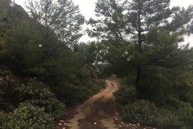 Land Rover Safari in Rhodes North Route - Why This Tour Offers Great Value