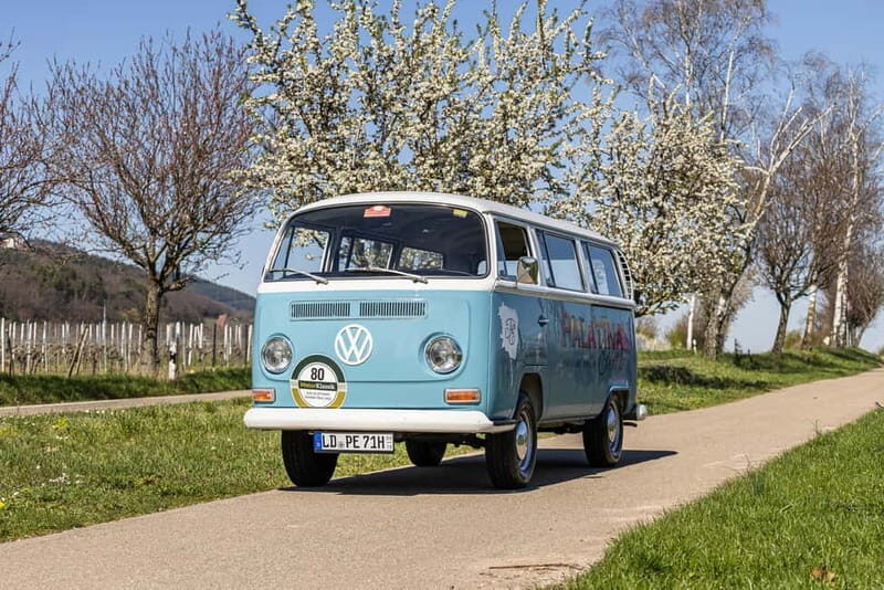 Landau: Tour in a vintage VW bus through the Palatinate wine country - A Nostalgic Ride Through Germany’s Wine Heartland