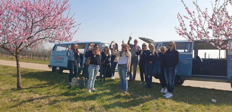 Landau: Tour in a vintage VW bus through the Palatinate wine country - Practical Details & Tips