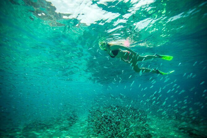 Land's End Snorkel and Kayak Experience! Round Transportation From Los Cabos - An In-Depth Look at the Tour Itself