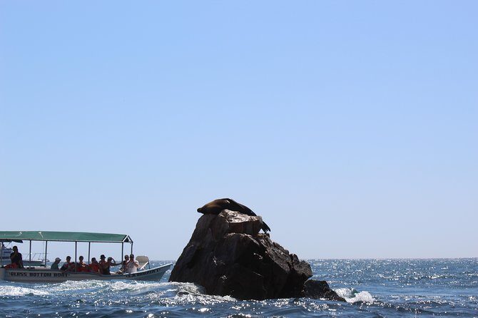 Land's End & Snorkel Tour in a Glass Bottom Boat (VisitA Cabo) - What’s Included and What’s Not