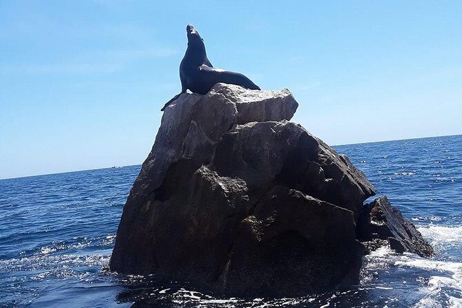 Land's End & Snorkel Tour in a Glass Bottom Boat (VisitA Cabo) - The Sum Up