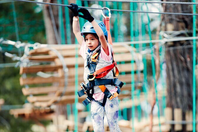Lane Poole Park Dwellingup - Junior Tree Ropes & Ziplining - An In-Depth Look at the Experience