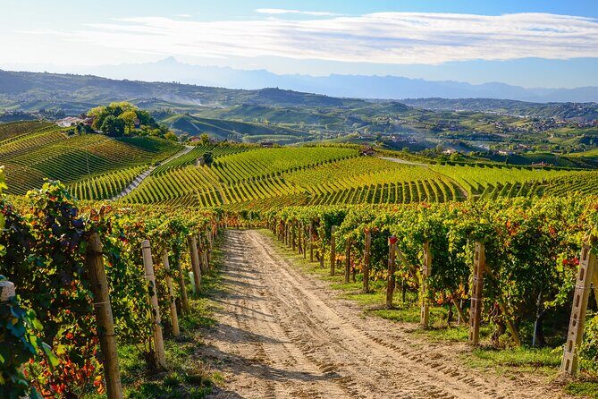 "Langhe del Barolo" Private E-bike Tour - Asphalt and Dirt Road - The Itinerary: What’s Included