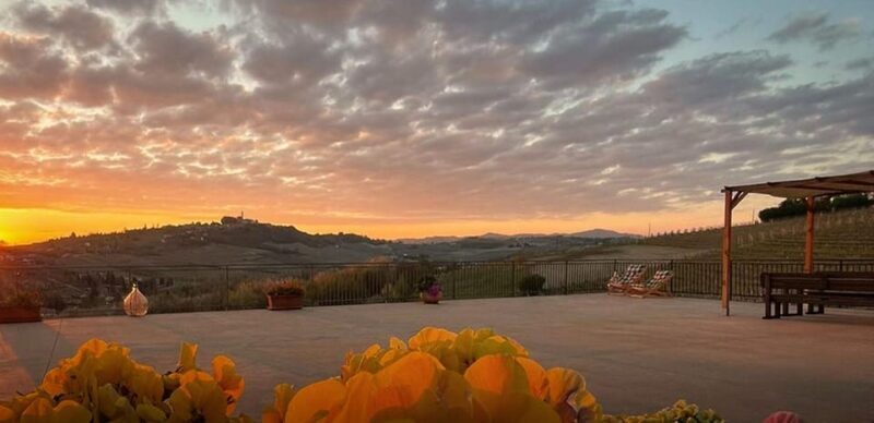 Langhe e Monferrato: Amerio Vincenzo Wine Tour and Tasting - The Reviews in Context