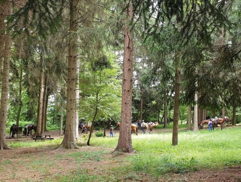 Langhe: Horse Riding in the Vineyards - Key Points