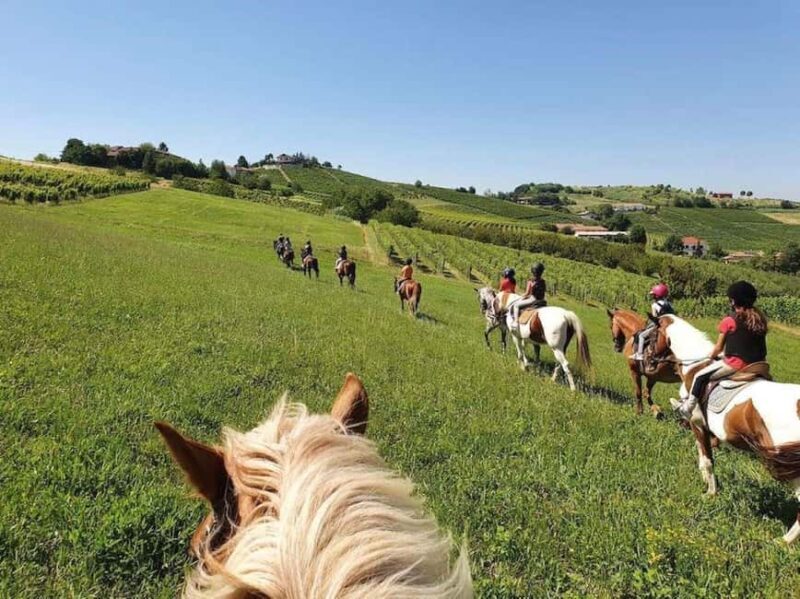 Langhe: Horse Riding in the Vineyards - An Honest Look at the Experience