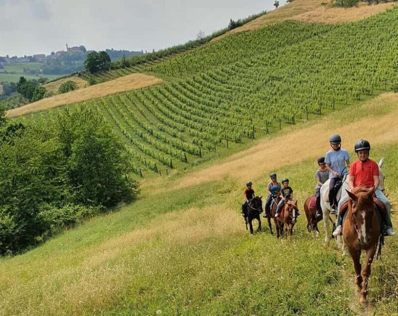 Langhe: Horse Riding in the Vineyards - Reviews and Real-Life Insights