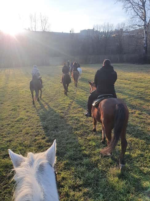 Langhe: Horse Riding in the Vineyards - Final Thoughts: Who Will Love This?