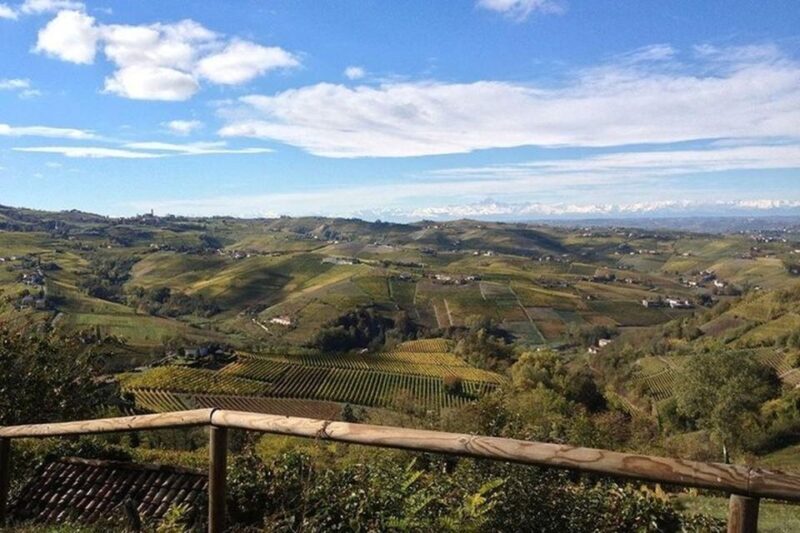 Langhe & Monferrato: Vineyard Tour and Wine Tasting - FAQ