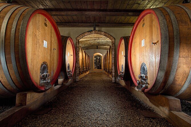 Langhe (Piedmont): Wine Tasting Experience - Practical Details and Tips